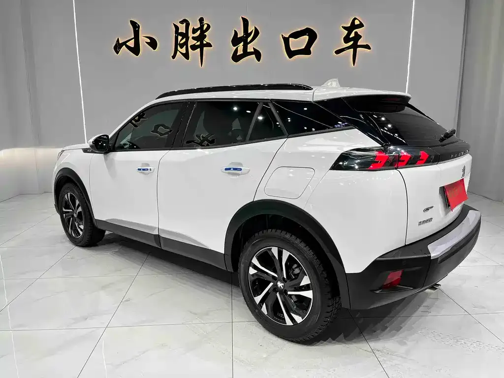 Peugeot 2008 2023 из CN, фото 9