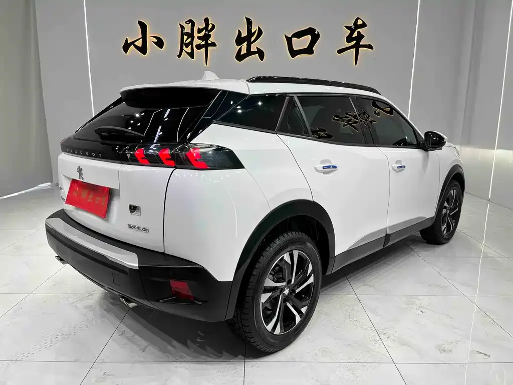 Peugeot 2008 2023 из CN, фото 7