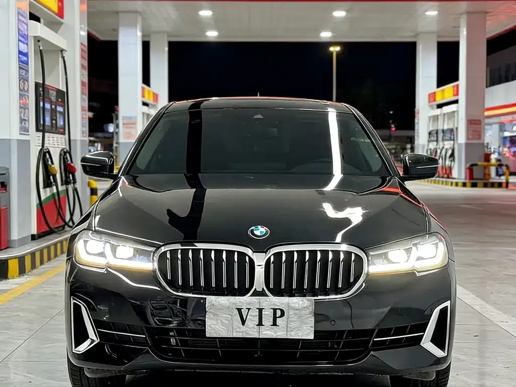 BMW 5 Series 2022 из CN, фото 9