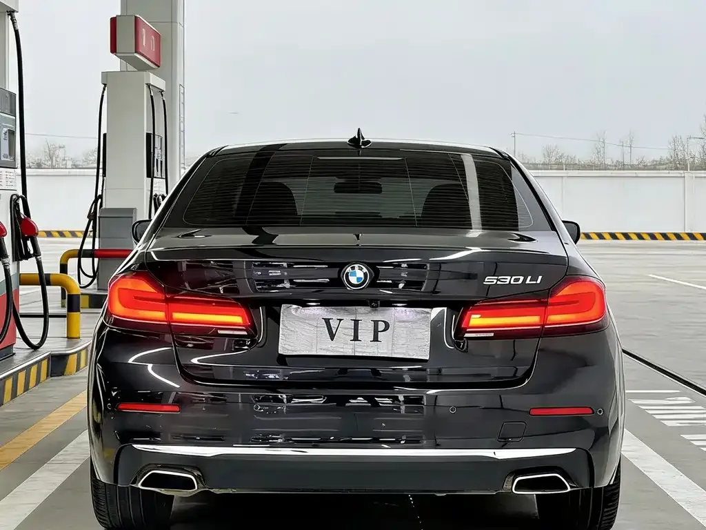 BMW 5 Series 2022 из CN, фото 3