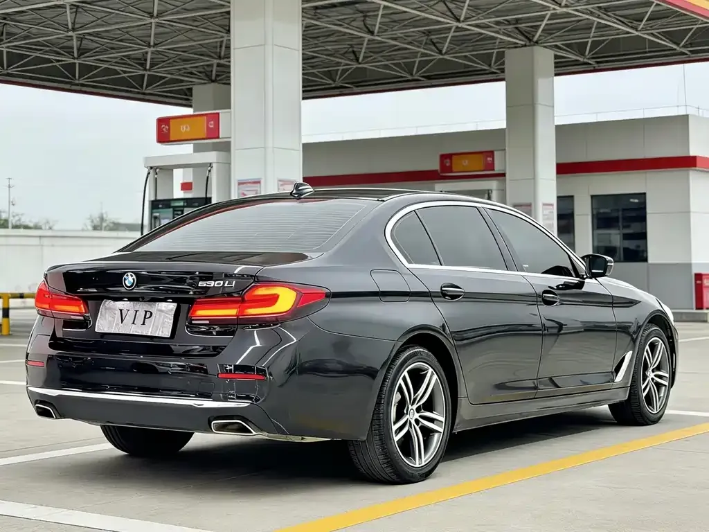 BMW 5 Series 2022 из CN, фото 4