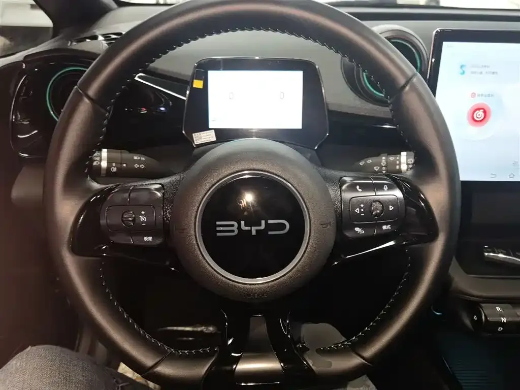 BYD Dolphin 2025 из CN, фото 4