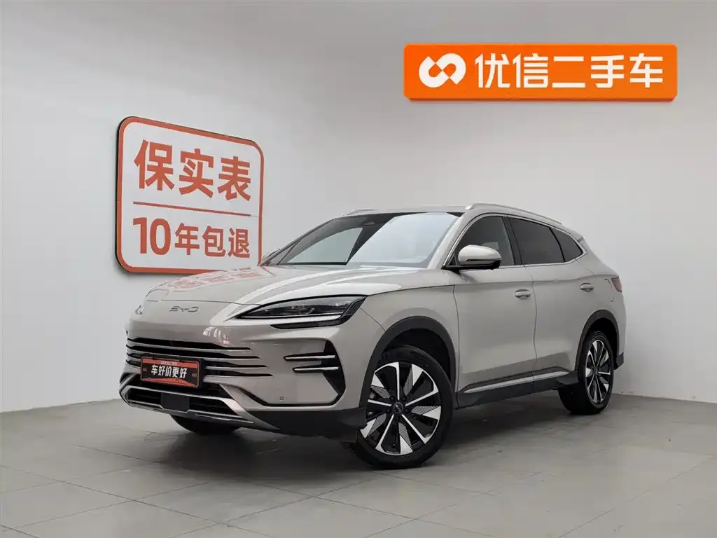 BYD PLUS New Energy 2024 из CN, фото 1