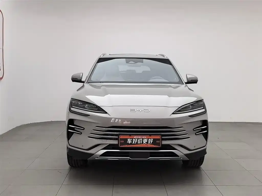 BYD PLUS New Energy 2024 из CN, фото 2