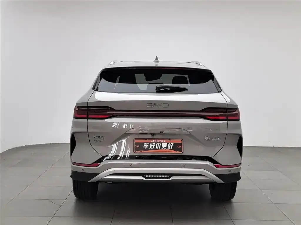 BYD PLUS New Energy 2024 из CN, фото 3