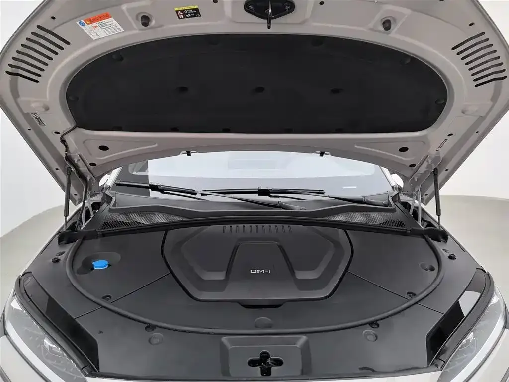 BYD PLUS New Energy 2024 из CN, фото 9
