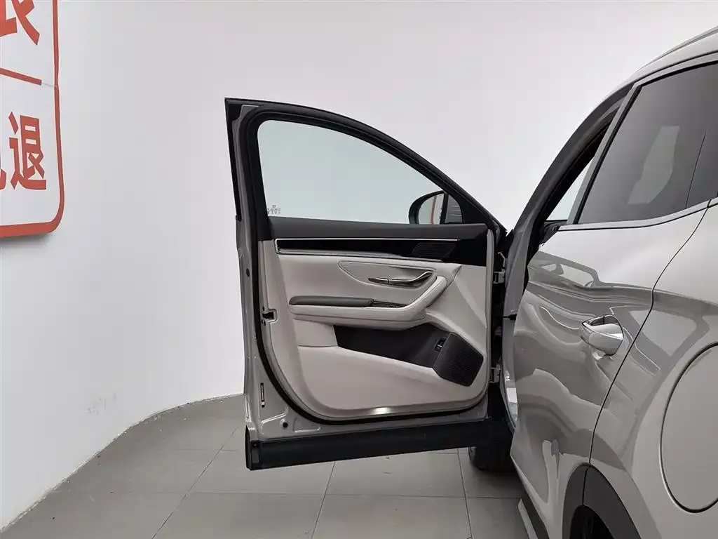 BYD PLUS New Energy 2024 из CN, фото 4