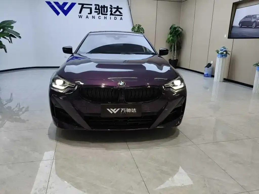 BMW 2 Series (Import) 2024 из CN, фото 1