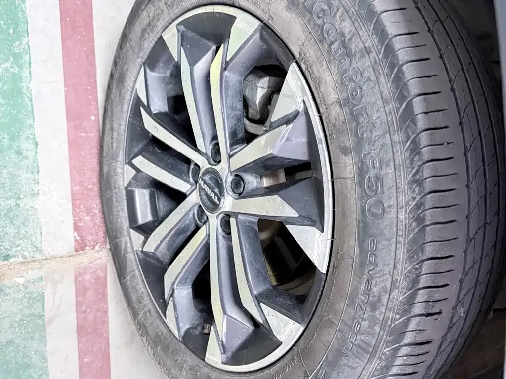 Haval Big Dog — фото 10