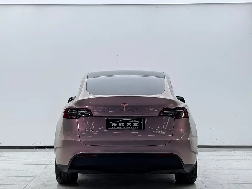 Tesla Model Y 2022 из CN, фото 6