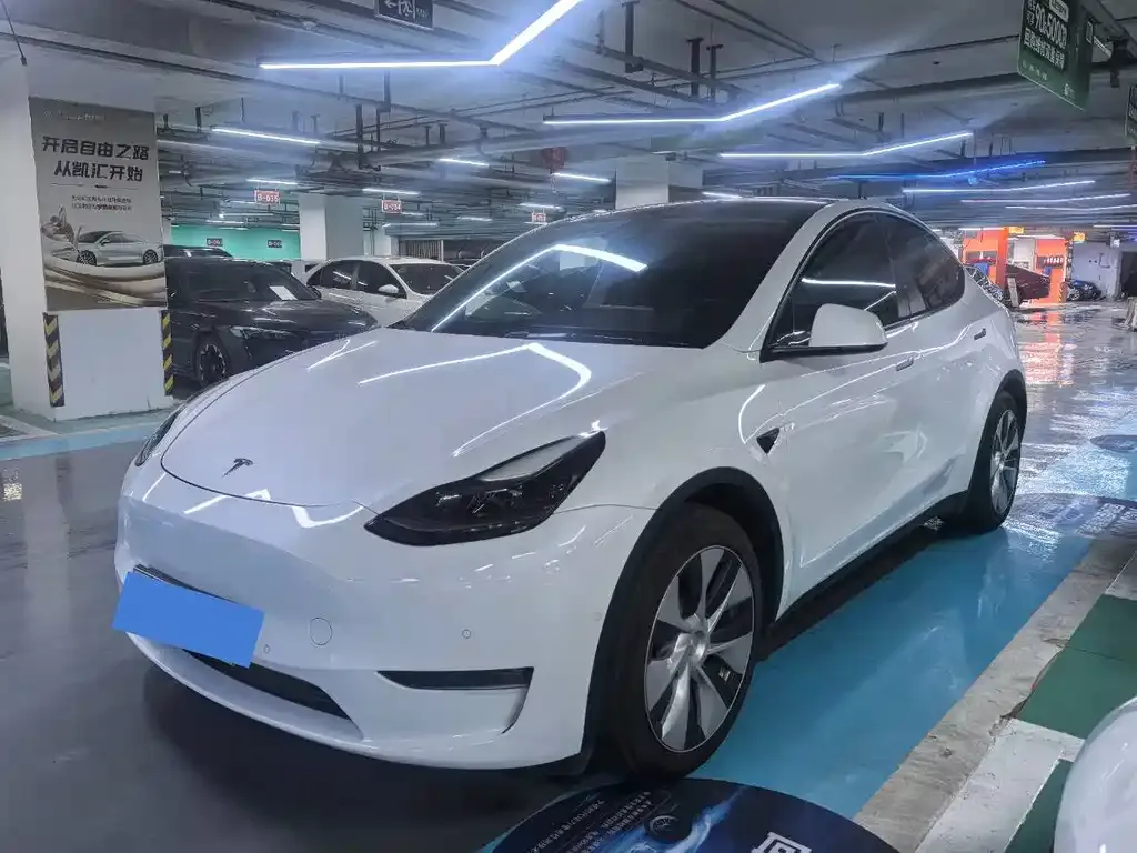 Tesla Model Y 2021 из CN, фото 1