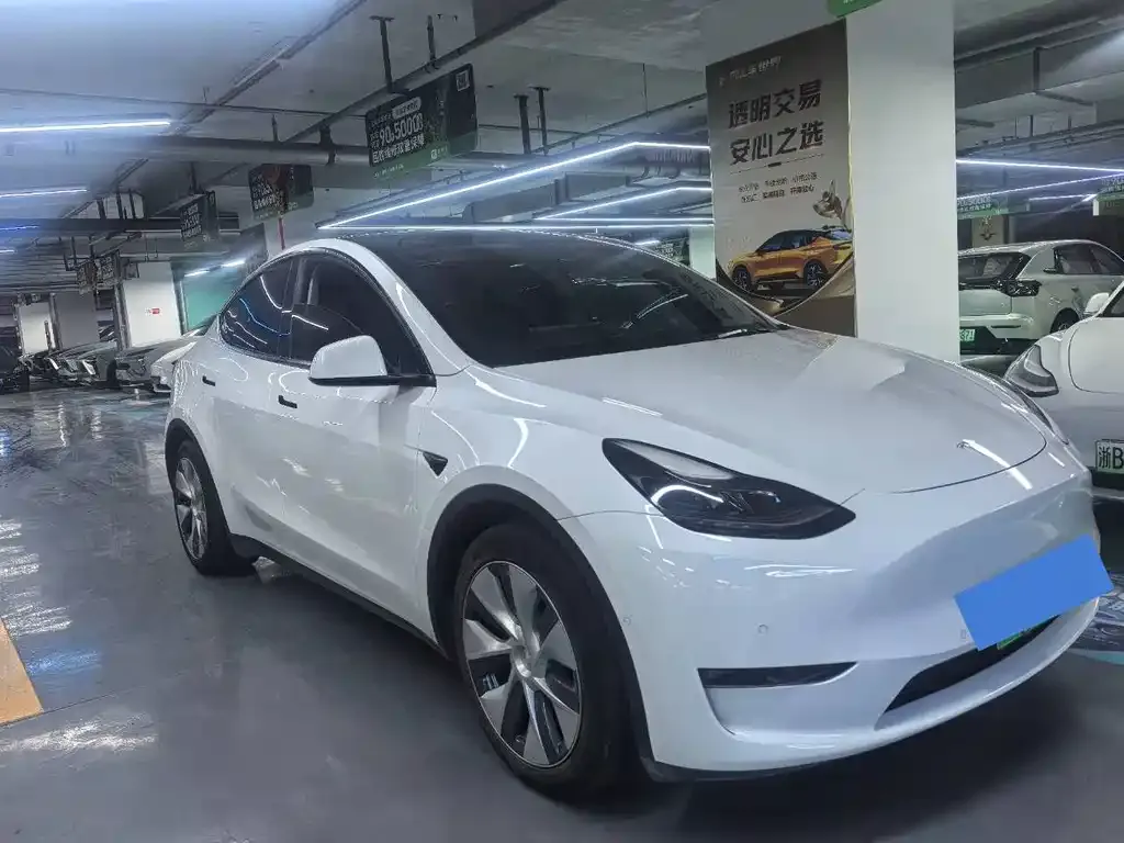 Tesla Model Y 2021 из CN, фото 8