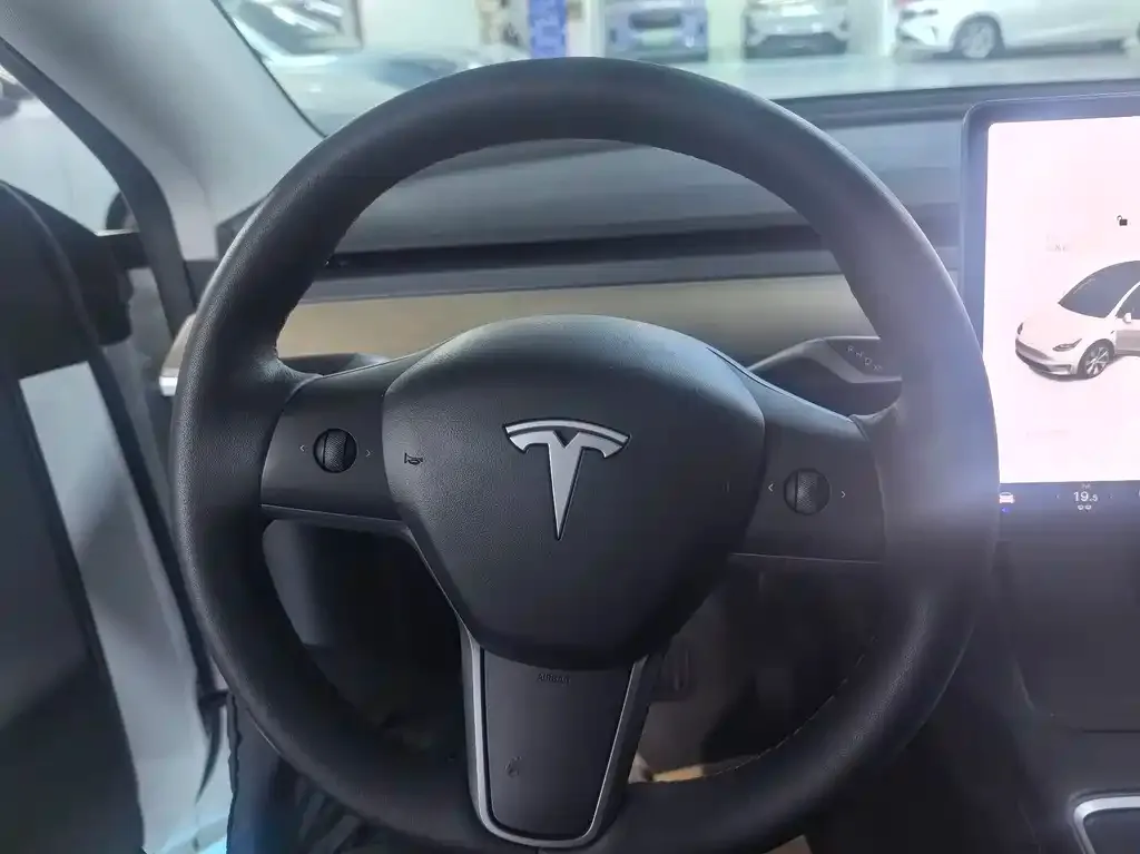 Tesla Model Y 2021 из CN, фото 4