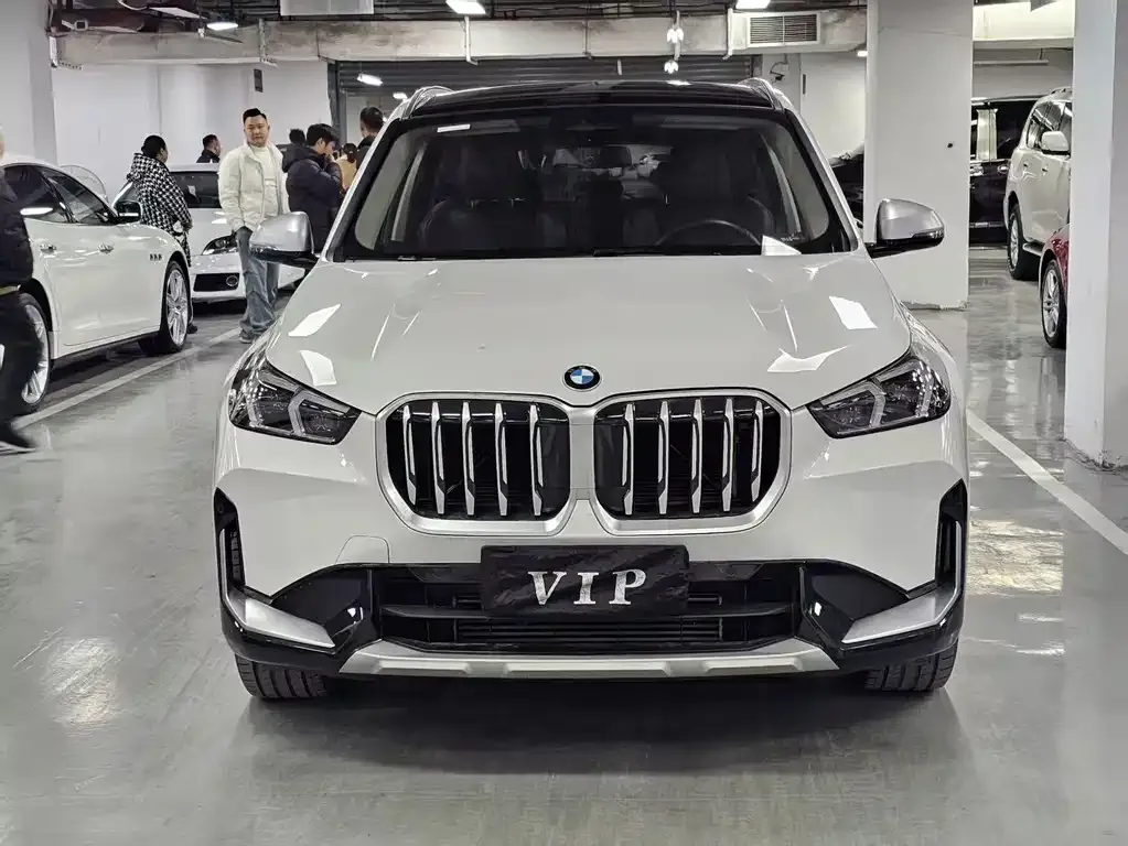 BMW X1 2024 из CN, фото 8