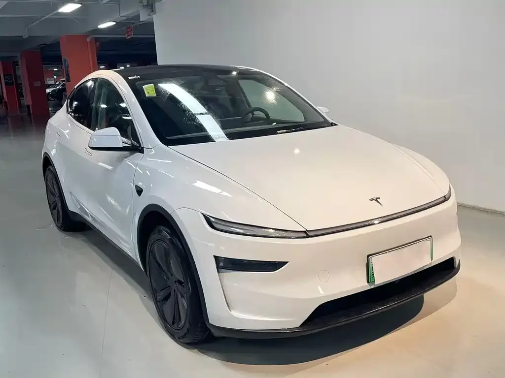 Tesla Model Y — фото 2