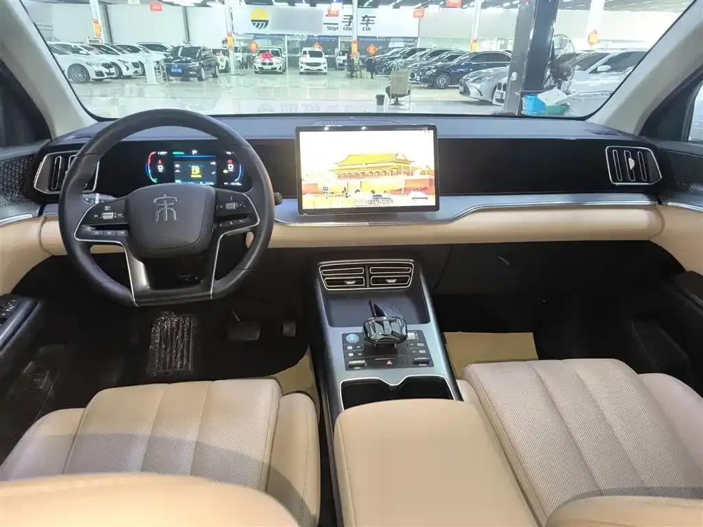 BYD Pro New Energy 2025 из CN, фото 8