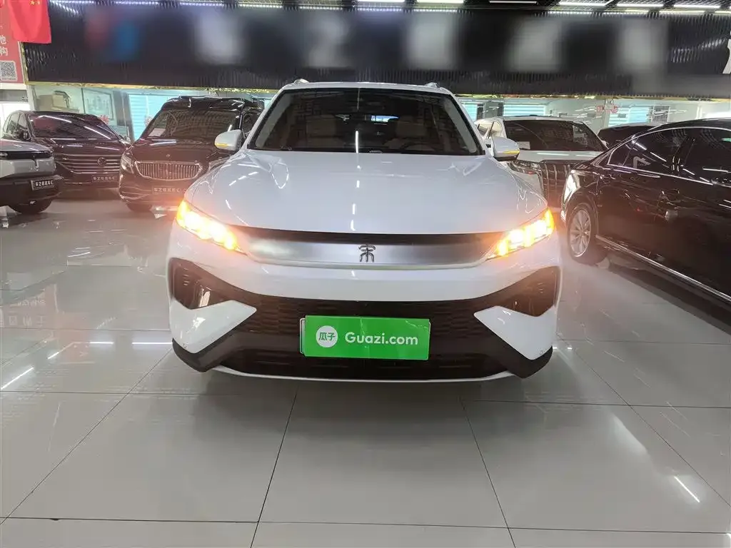 BYD Pro New Energy 2025 из CN, фото 5