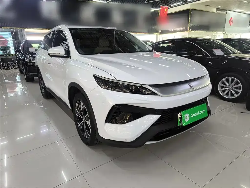 BYD Pro New Energy 2025 из CN, фото 6
