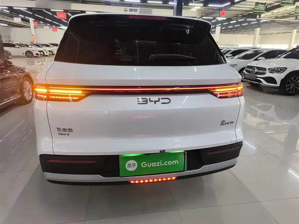 BYD Pro New Energy 2025 из CN, фото 7