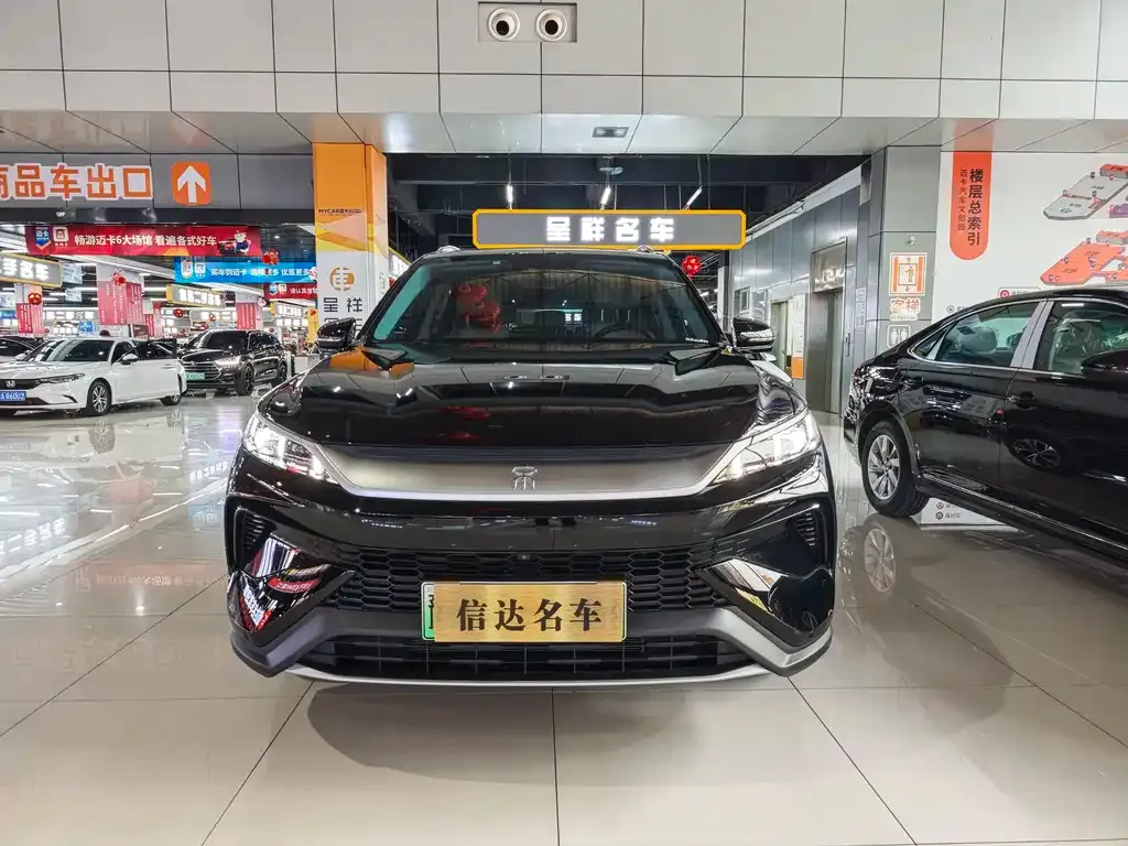 BYD Pro New Energy — фото 10