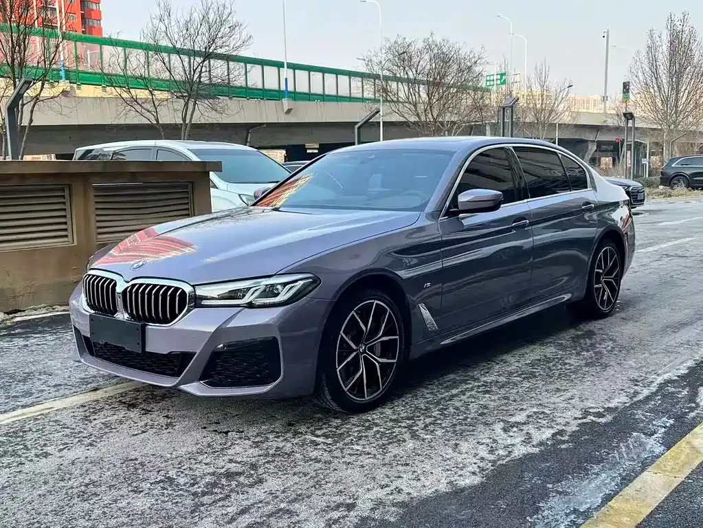 BMW 5 Series 2021 из CN, фото 1