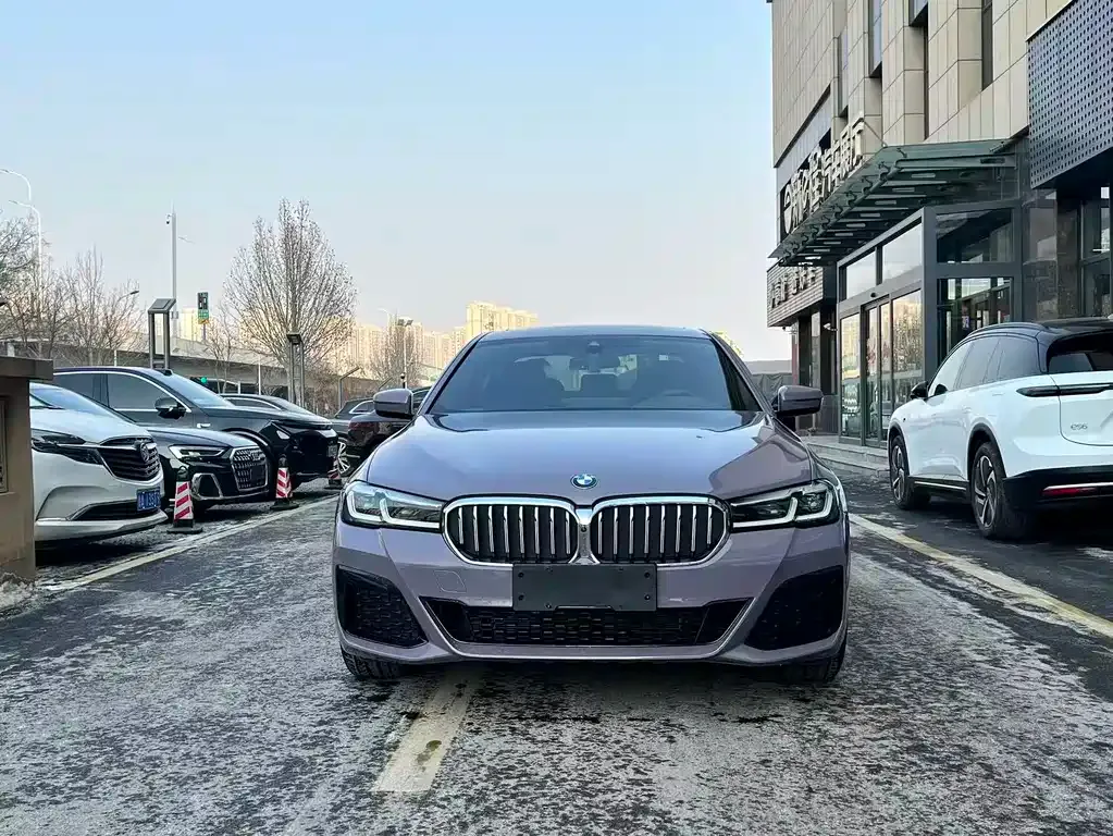BMW 5 Series 2021 из CN, фото 2