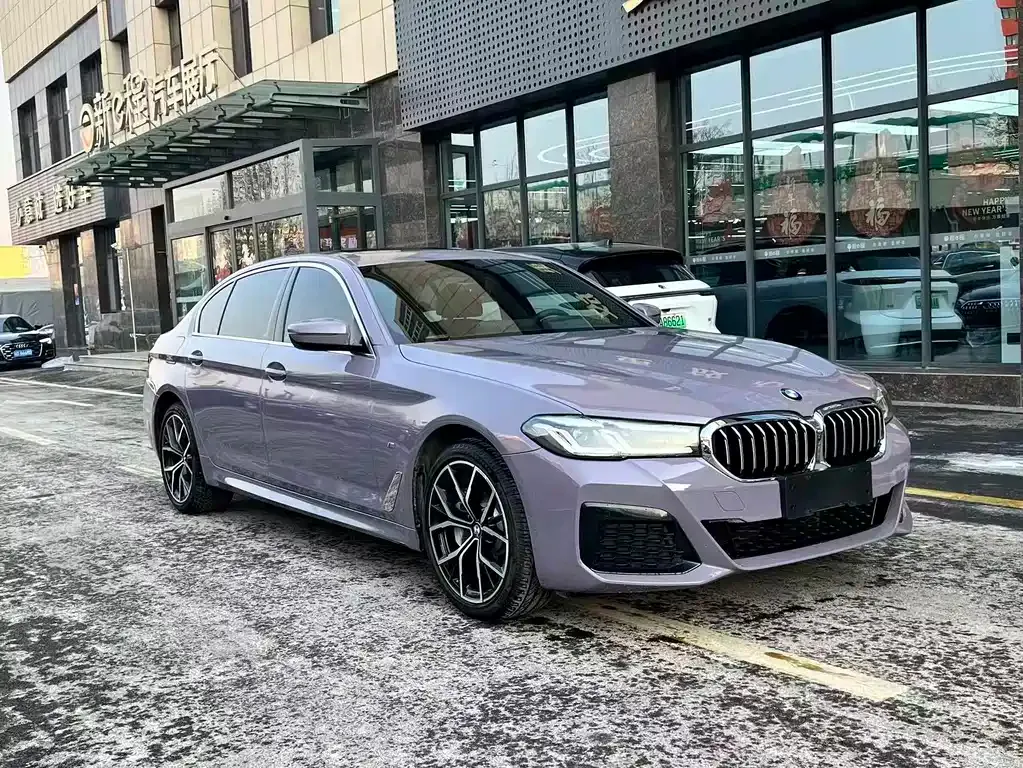 BMW 5 Series 2021 из CN, фото 7