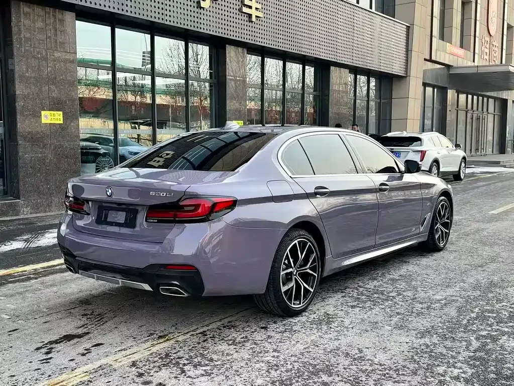 BMW 5 Series 2021 из CN, фото 3