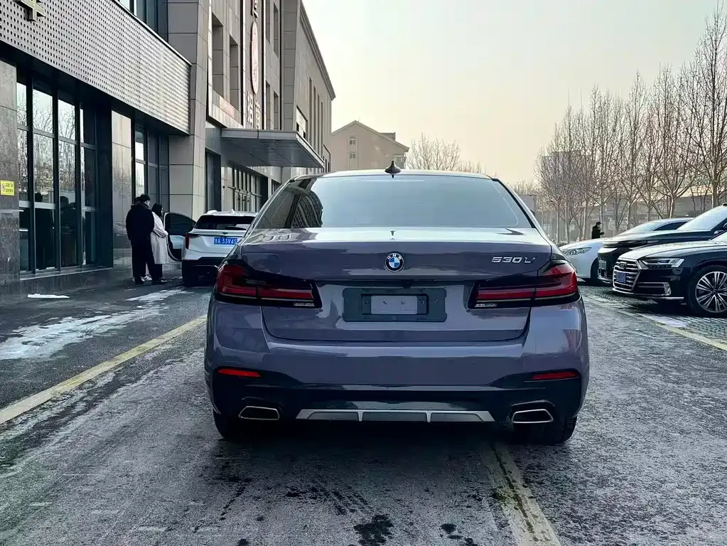 BMW 5 Series 2021 из CN, фото 8