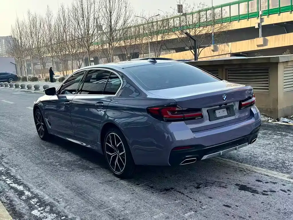 BMW 5 Series 2021 из CN, фото 6