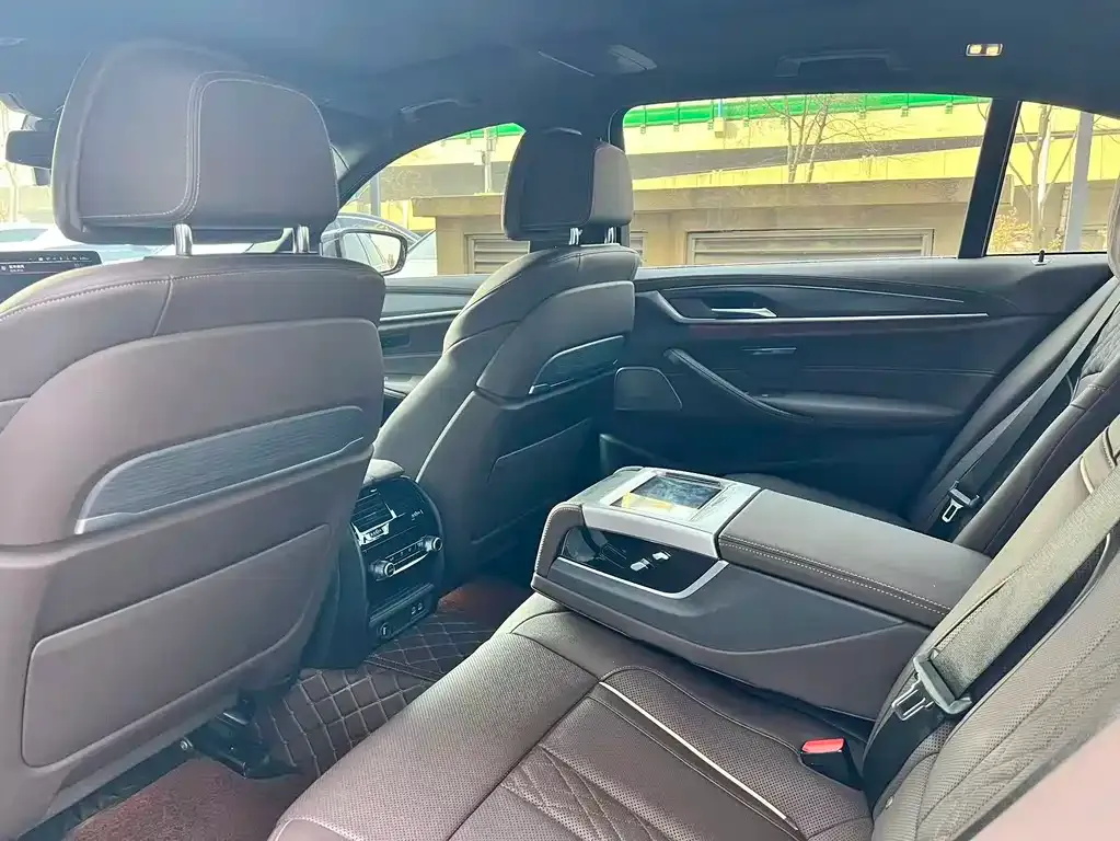 BMW 5 Series 2021 из CN, фото 4
