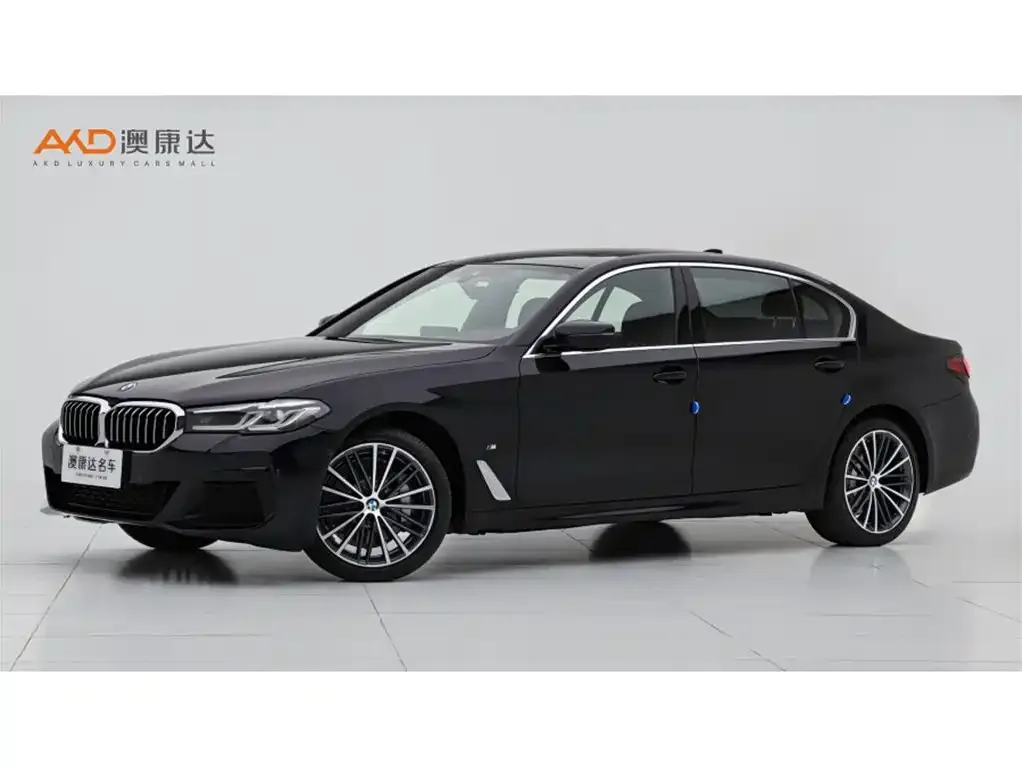 BMW 5 Series 2022 из CN, фото 1