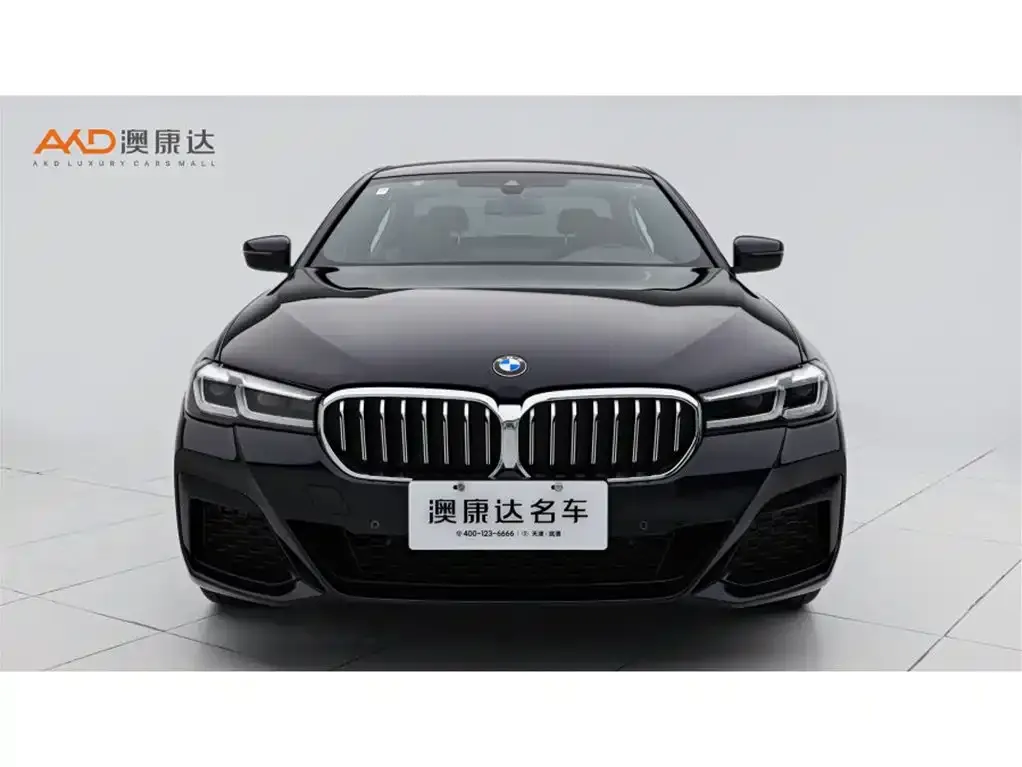 BMW 5 Series 2022 из CN, фото 7
