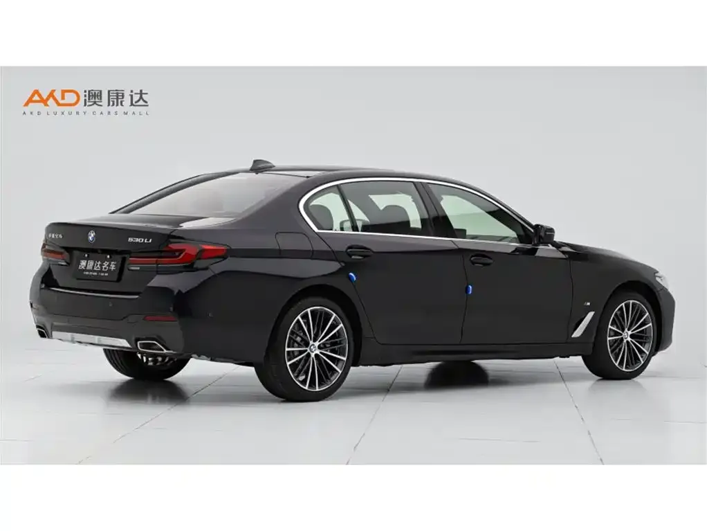 BMW 5 Series 2022 из CN, фото 8