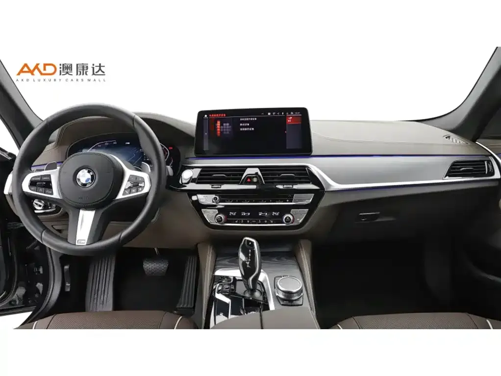 BMW 5 Series 2022 из CN, фото 5