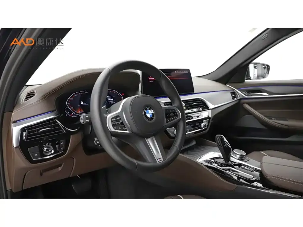 BMW 5 Series 2022 из CN, фото 6