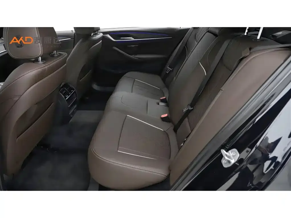 BMW 5 Series 2022 из CN, фото 2