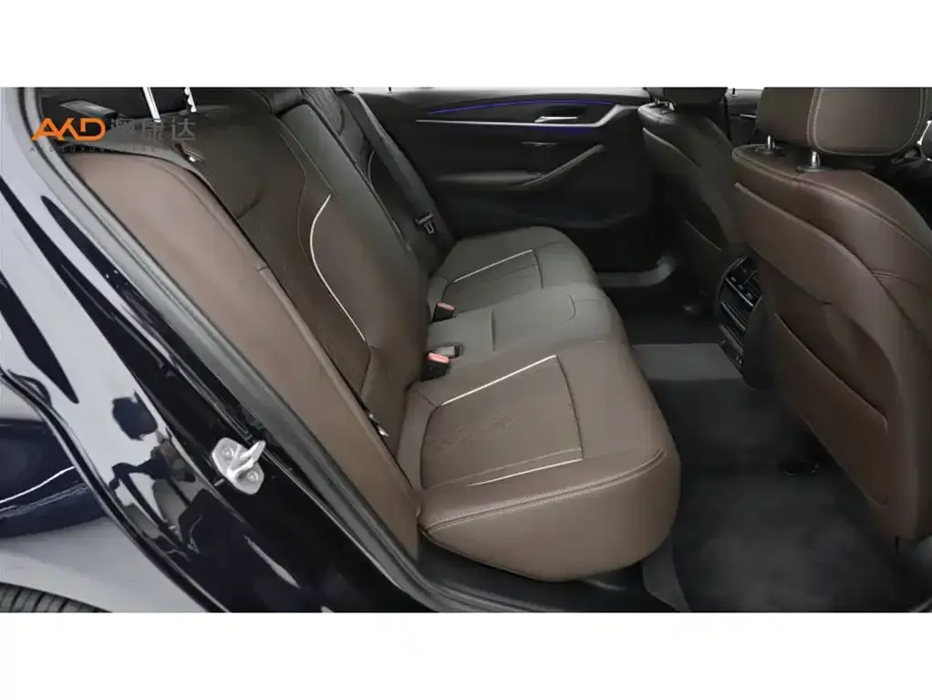 BMW 5 Series 2022 из CN, фото 9