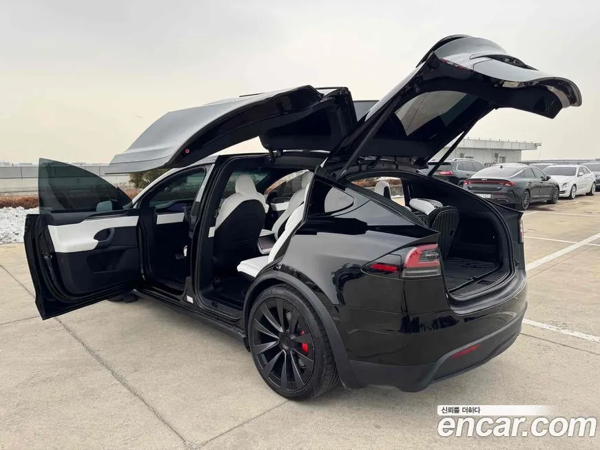 Tesla Model X — фото 8