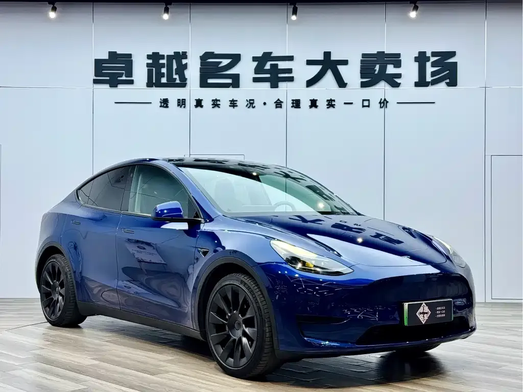 Tesla Model Y — фото 6