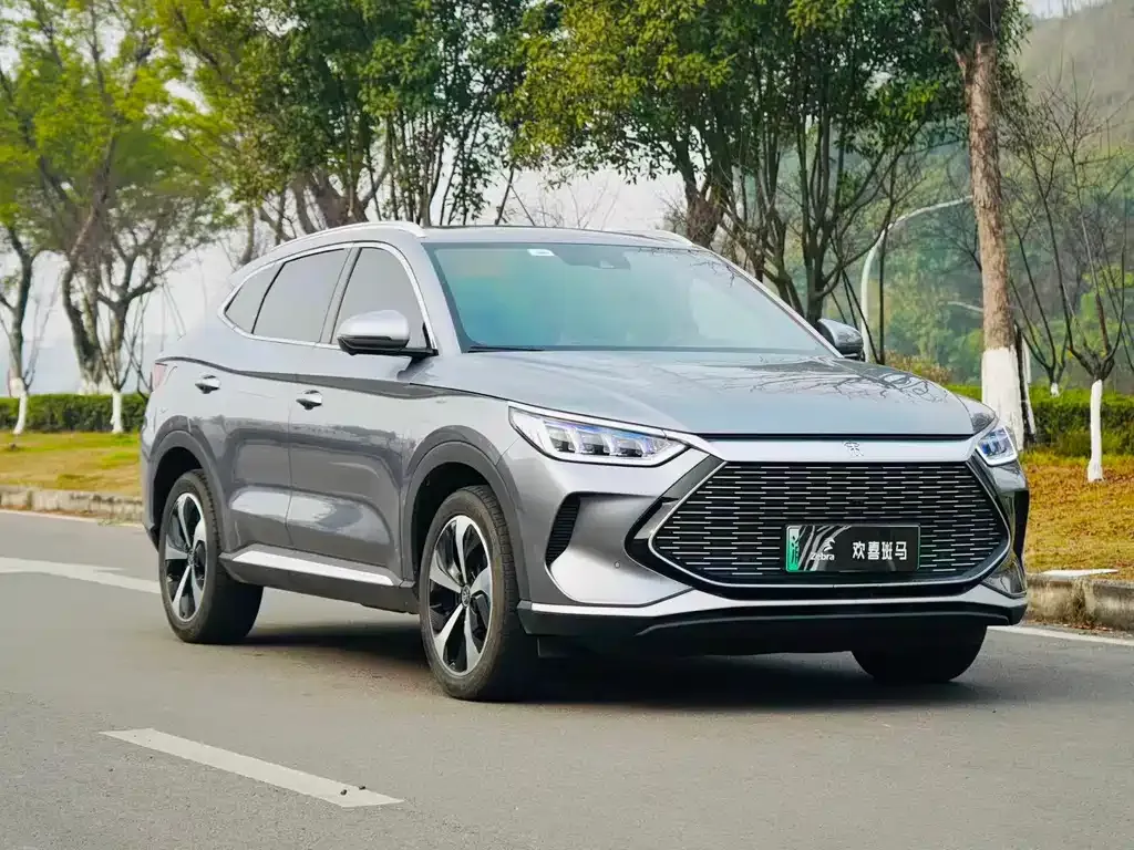 BYD PLUS 2023 из CN, фото 1