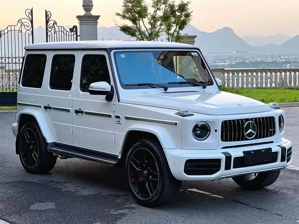 Mercedes-Benz G-Class 2021 из CN, фото 2