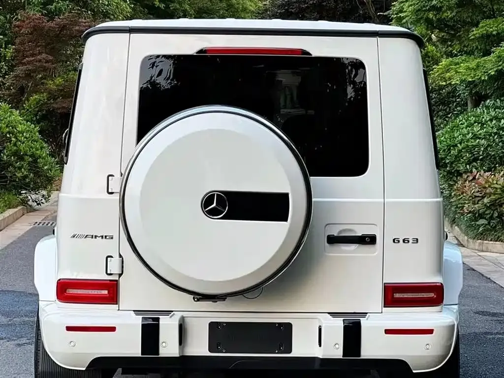 Mercedes-Benz G-Class 2021 из CN, фото 3