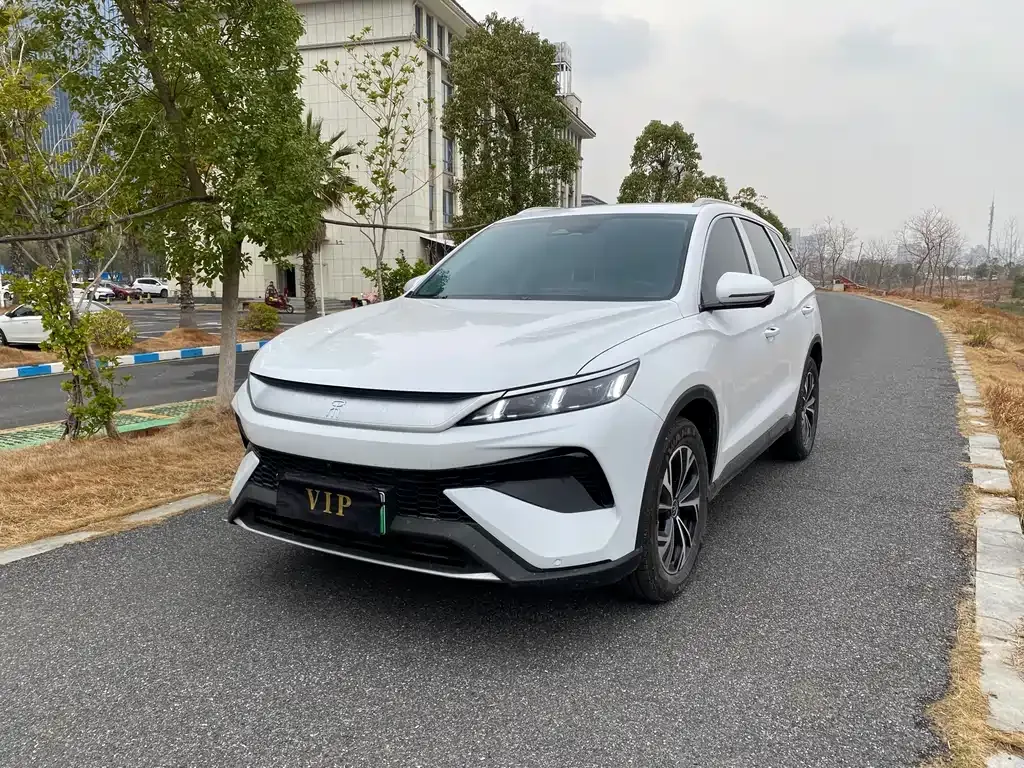 BYD Pro New Energy 2025 из CN, фото 1