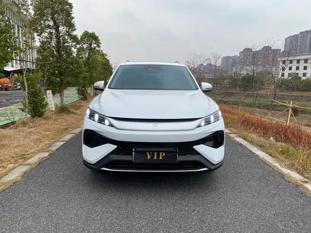 BYD Pro New Energy 2025 из CN, фото 9