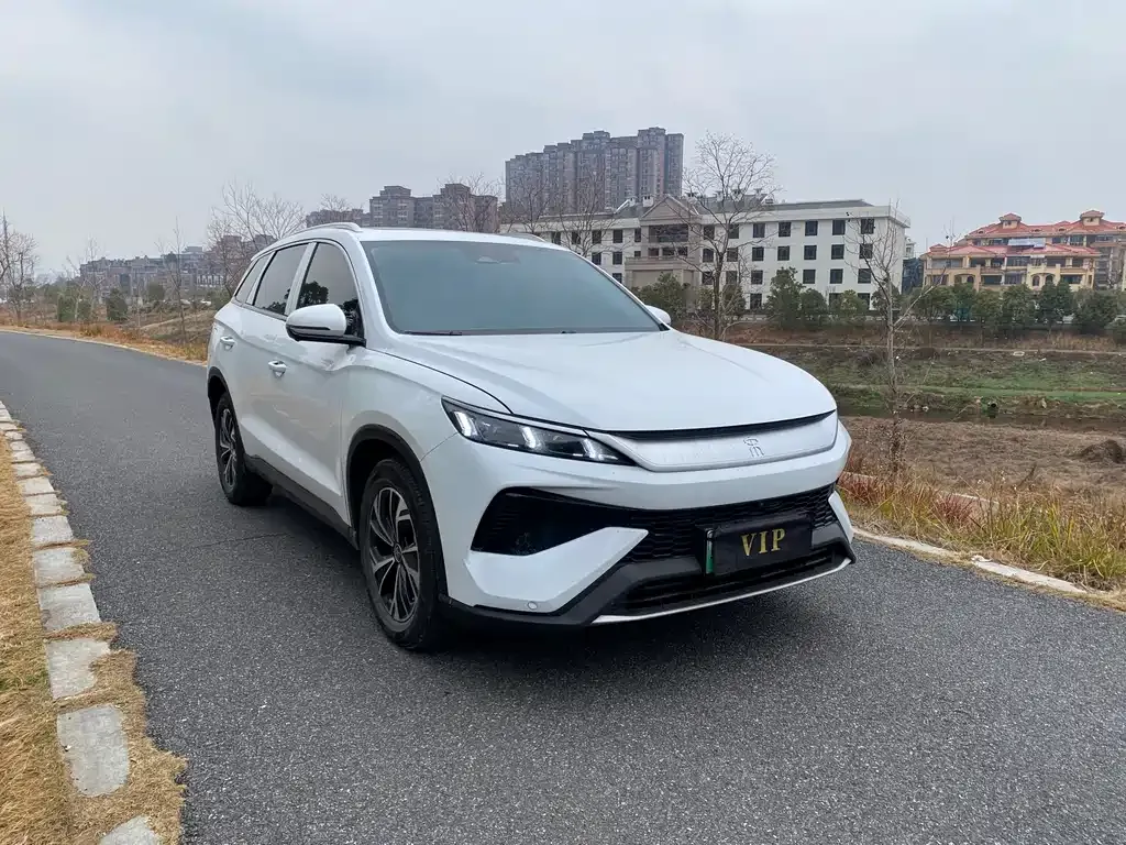 BYD Pro New Energy 2025 из CN, фото 8