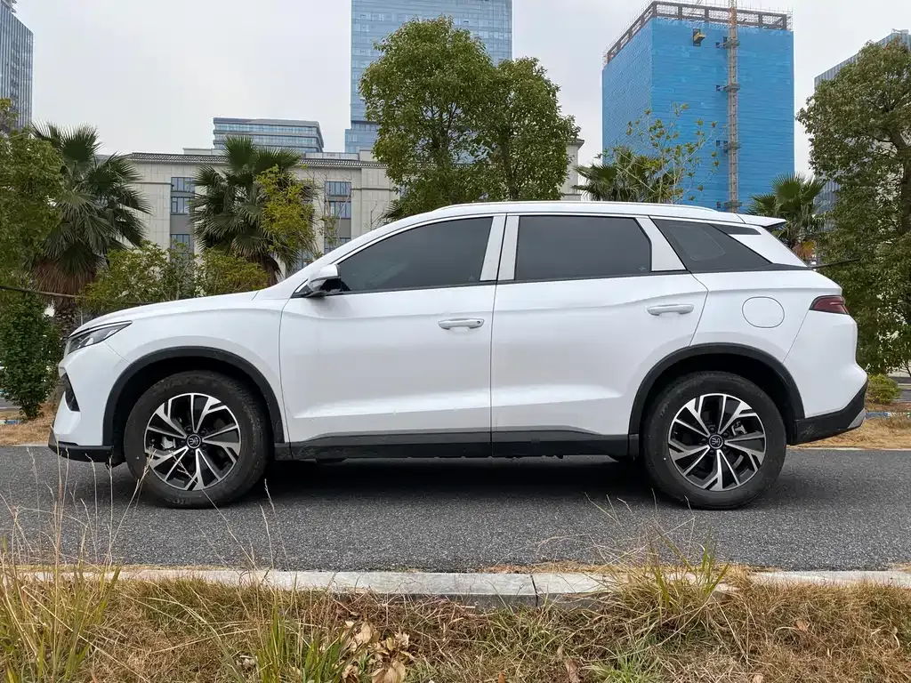 BYD Pro New Energy 2025 из CN, фото 6
