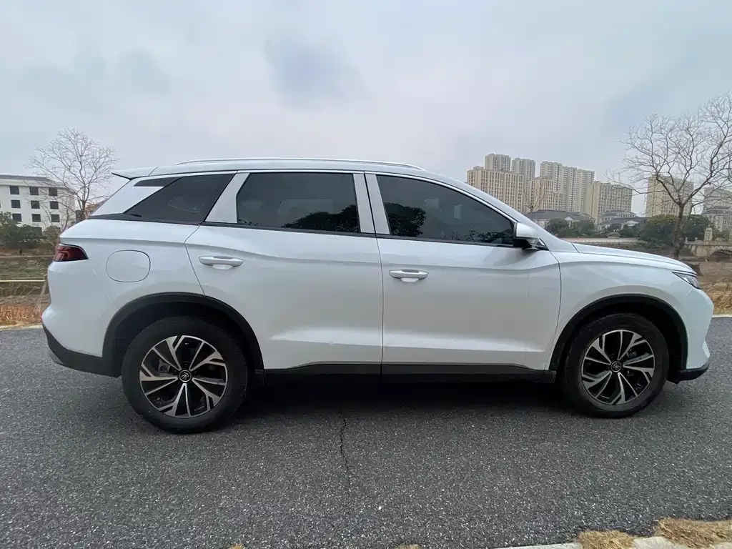 BYD Pro New Energy 2025 из CN, фото 7
