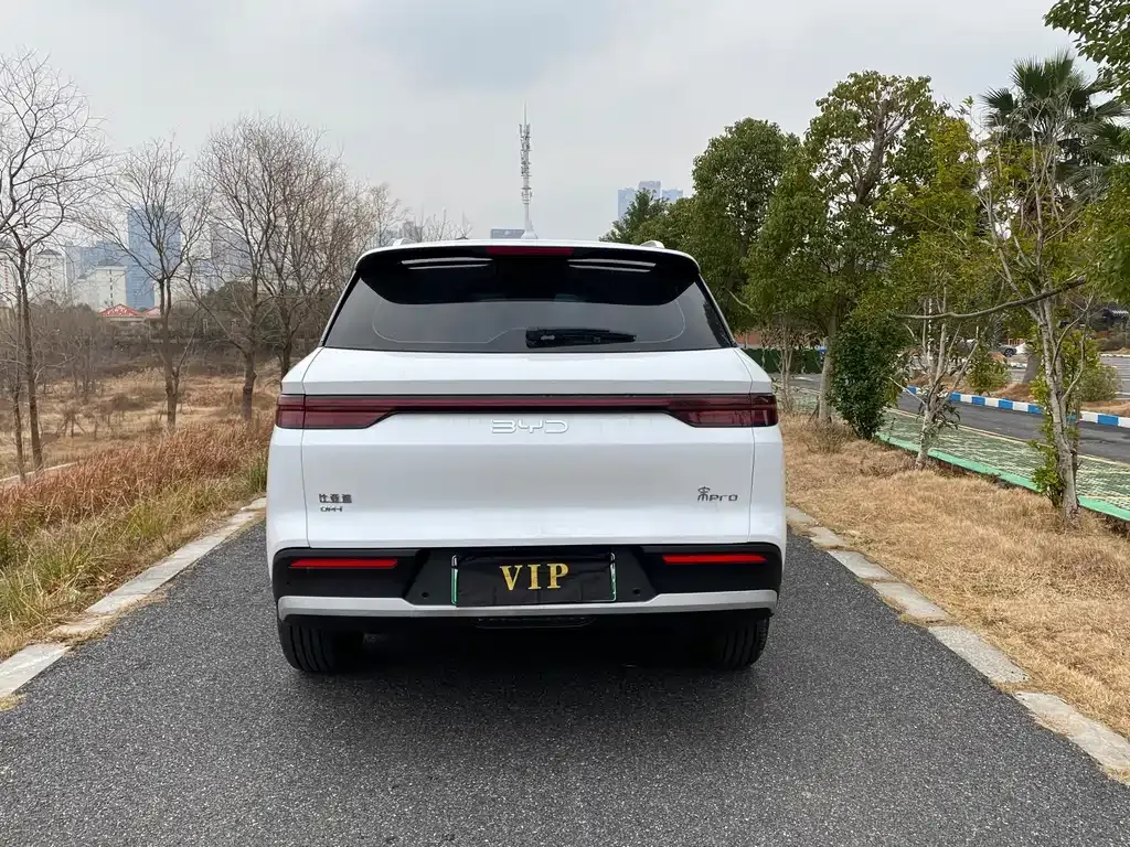 BYD Pro New Energy 2025 из CN, фото 3