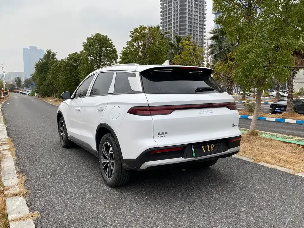 BYD Pro New Energy 2025 из CN, фото 2